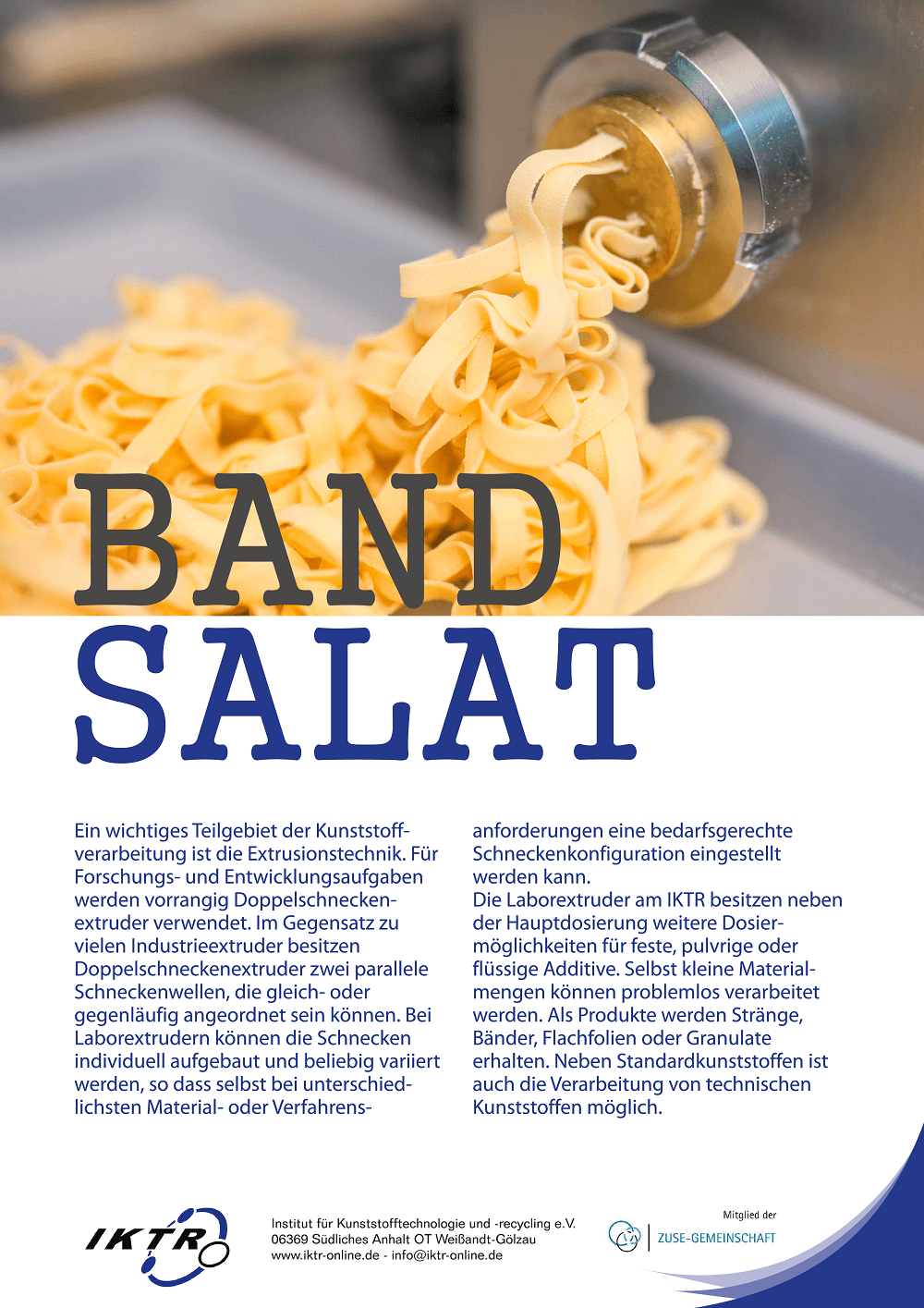 bandsalat1